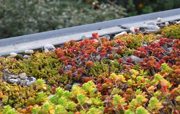 the cost of Bodelva green roof installation