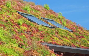 Bodelva living roof systems